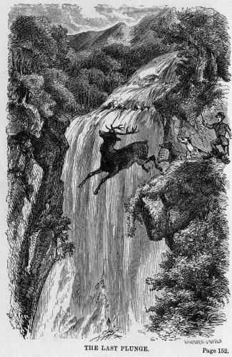 The Last Plunge